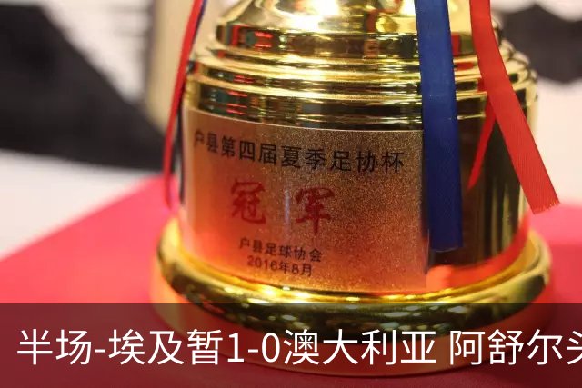 半场-埃及暂1-0澳大利亚 阿舒尔头球破门哈菲兹助攻沃尔帕托中框