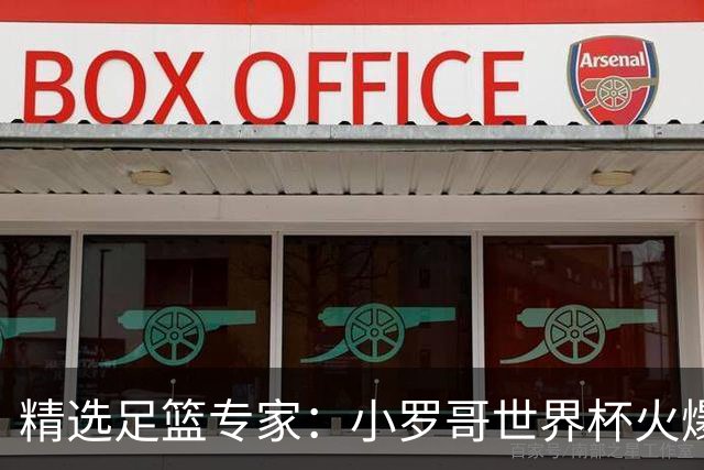 精选足篮专家：小罗哥世界杯火爆9连红长线15中13！