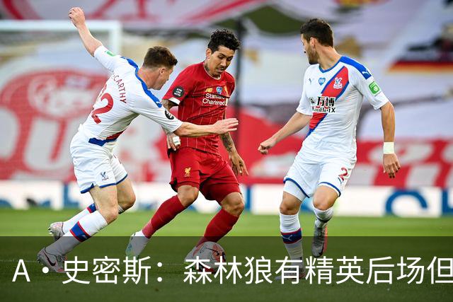 A·史密斯：森林狼有精英后场但体型变小 难应对雷霆马刺火箭掘金